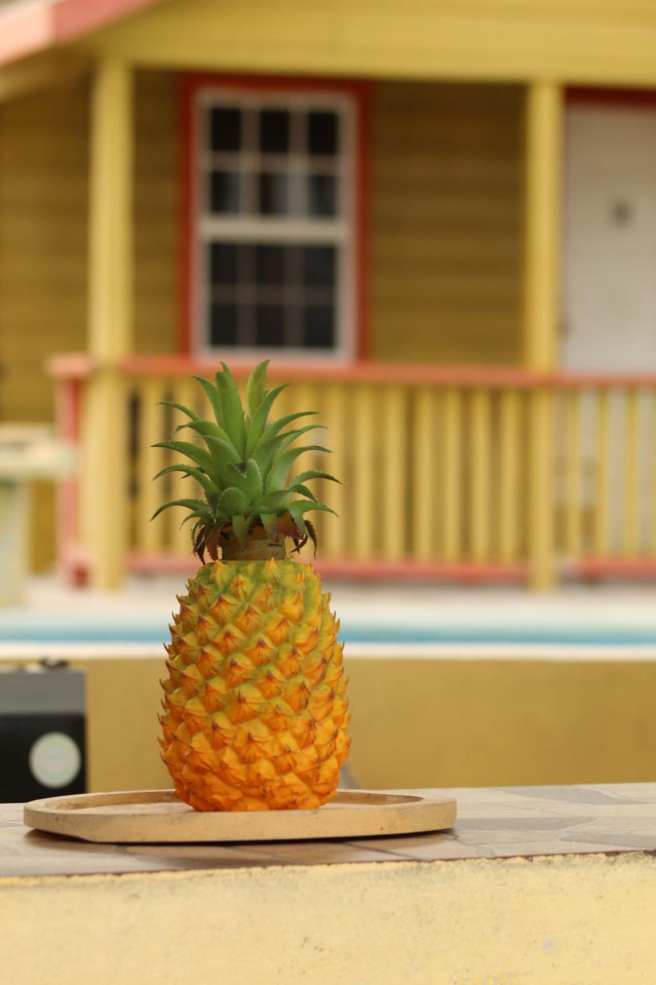 Tropical Paradise Caye Caulker Luaran gambar