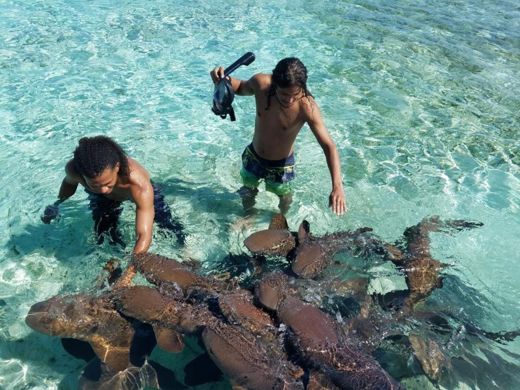Tropical Paradise Caye Caulker Luaran gambar